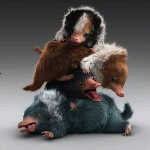 沃神最新爆料罗威,沃神曝转会细节引热议 第3张 沃神最新爆料罗威,沃神曝转会细节引热议 第3张